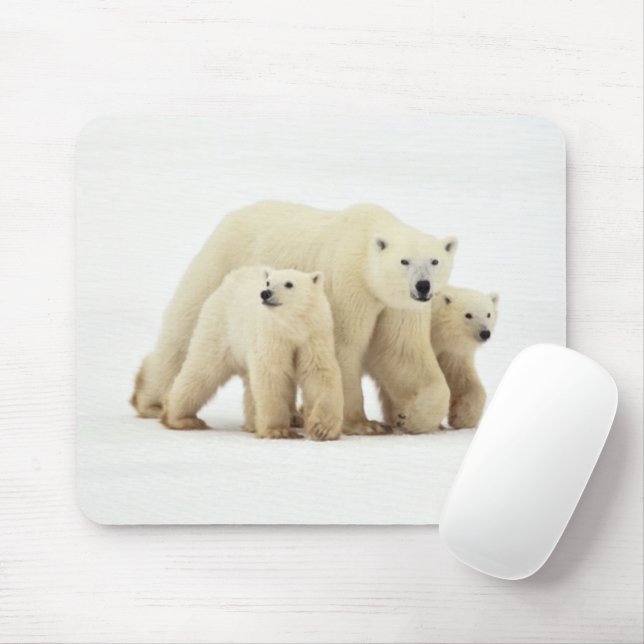 Tapis De Souris Animaux de bébés cutest | Famille d'ours polaires (Avec souris)