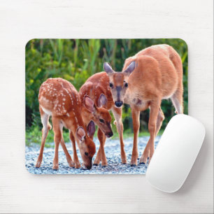 Tapis De Souris Animaux de bébés cutest   Fawn with Babies