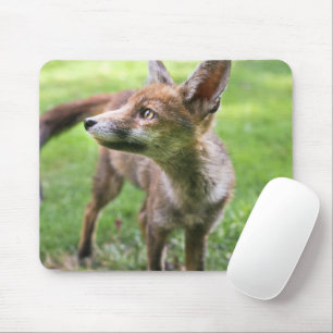 Tapis De Souris Animaux de bébés cutest   Fox urbain