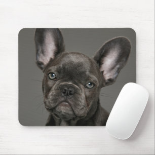 Tapis De Souris Animaux de bébés cutest   French Bulldog