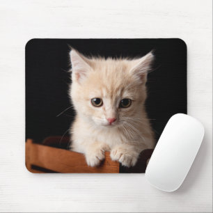 Tapis De Souris Animaux de bébés cutest Ginger Kitten