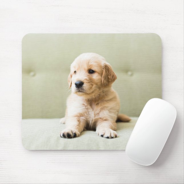 Tapis De Souris Animaux de bébés cutest | Golden Retriever Puppy (Avec souris)