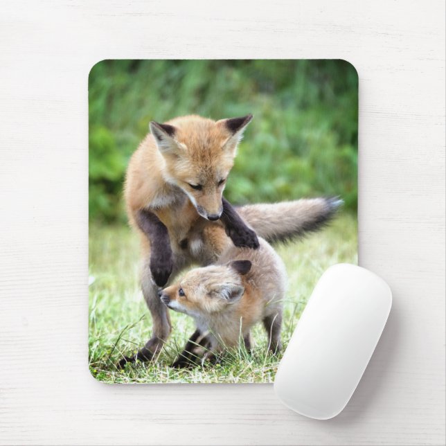Tapis De Souris Animaux de bébés cutest | Kit et maman Fox adorabl (Avec souris)