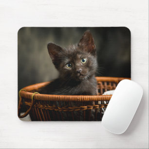 Tapis De Souris Animaux de bébés cutest   Kitten dans le panier