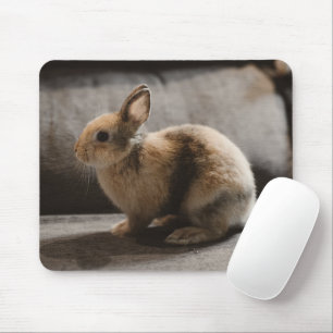 Tapis De Souris Animaux de bébés cutest   Lapin nain de Pays-Bas