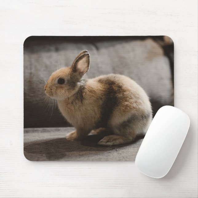 Tapis De Souris Animaux de bébés cutest | Lapin nain de Pays-Bas (Avec souris)