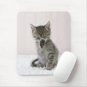 Tapis De Souris Animaux de bébés cutest Licking Tabby Kitten