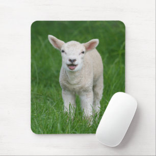 Tapis De Souris Animaux de bébés cutest   Lil Lamb