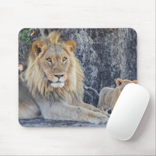 Tapis De Souris Animaux de bébés cutest   Lion Dad & Cub