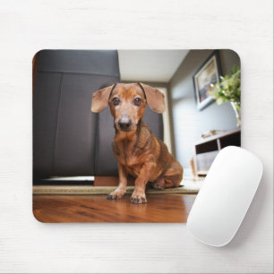 Tapis De Souris Animaux de bébés cutest Mini chiot