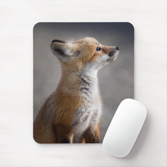 Tapis De Souris Animaux de bébés cutest | Portrait Baby Fox (Avec souris)