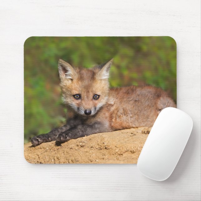 Tapis De Souris Animaux de bébés cutest | Red Fox Pup (Avec souris)