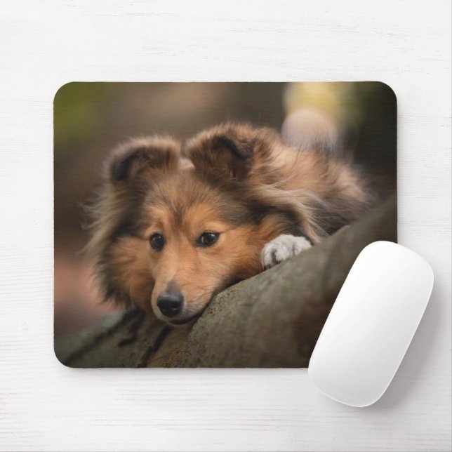 Tapis De Souris Animaux de bébés cutest | Shetland Sheepdog Puppy (Avec souris)