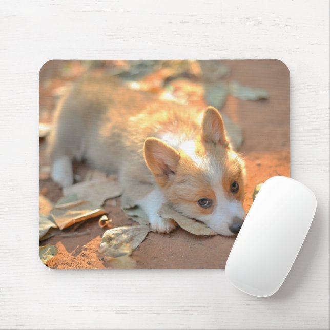 Tapis De Souris Animaux de bébés cutest | Shy Corgi (Avec souris)