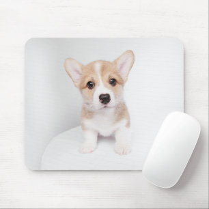 Tapis De Souris Animaux de bébés cutest Tiny Corgi