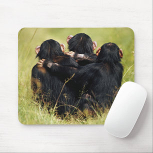 Tapis De Souris Animaux de bébés cutest   Trois chimpanzés en trai