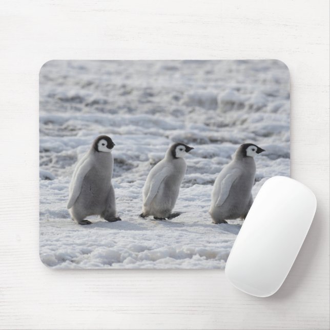 Tapis De Souris Animaux de bébés cutest | Trois Épouses Penguin Em (Avec souris)