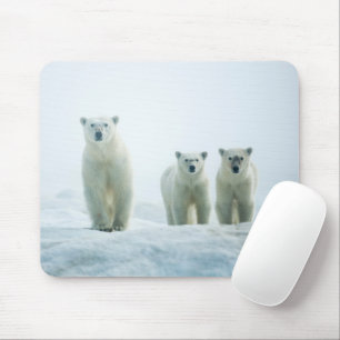Tapis De Souris Animaux de bébés cutest Trois jeunes ours polair