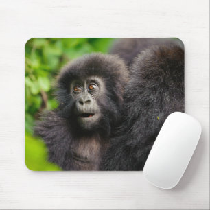 Tapis De Souris Animaux de bébés cutest   Young Mountain Gorilla