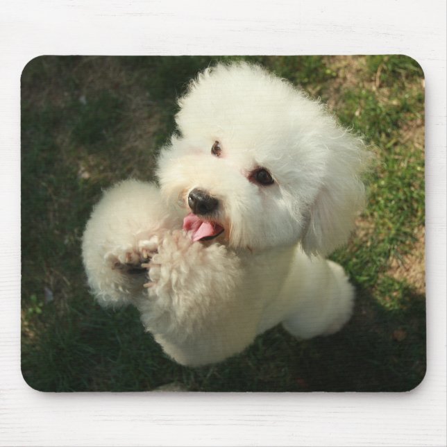Tapis De Souris Animaux domestiques, chien, caniche (Devant)