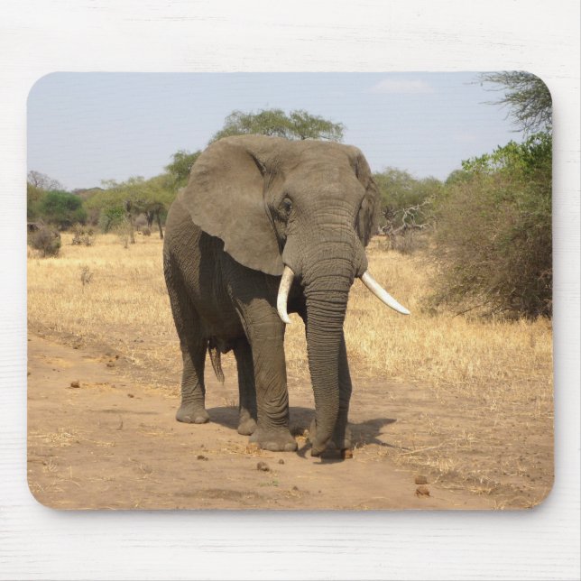 Tapis De Souris animaux, éléphants, nature (Devant)