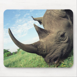Tapis De Souris Animaux Mousepad 104