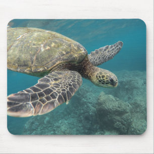 Tapis De Souris animaux, nature, tortue