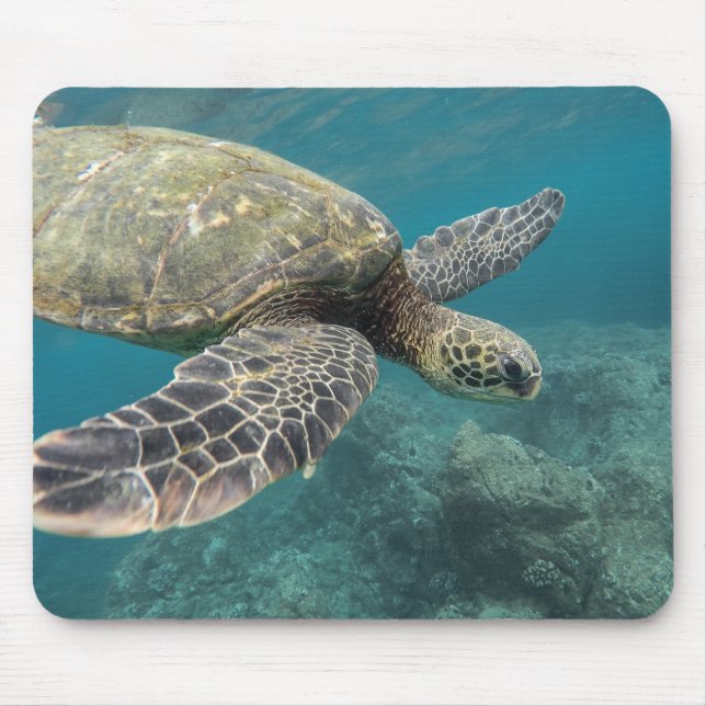 Tapis De Souris animaux, nature, tortue (Devant)