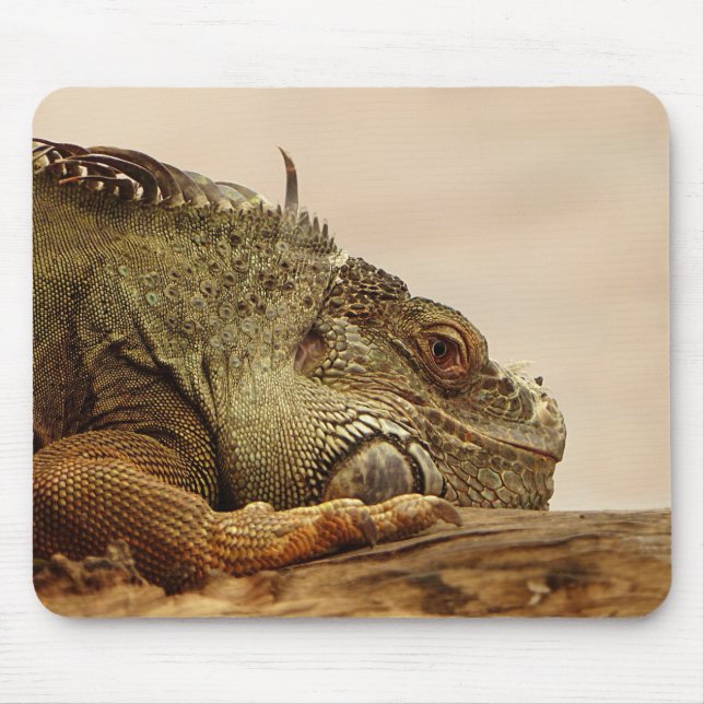 Tapis De Souris Animaux, reptiles, lézards (Devant)