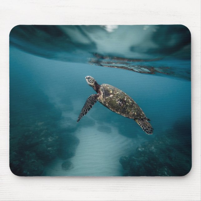 Tapis De Souris Animaux, tortues, eau (Devant)