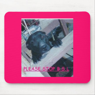 TAPIS DE SOURIS ANTI BSL