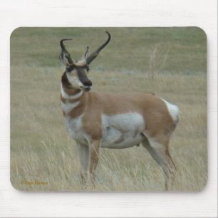 Tapis De Souris Antilope d'Amérique A37 Corne tordue