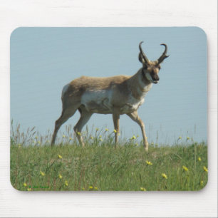 Tapis De Souris Antilope d'Amérique à fourche et fleurs sauvages