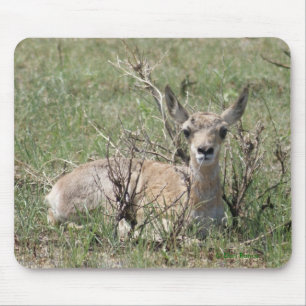 Tapis De Souris Antilope de Pronghorn du bébé A7
