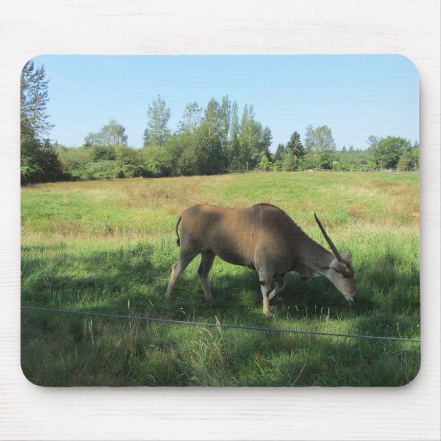 Tapis De Souris Antilope pâturant (Devant)