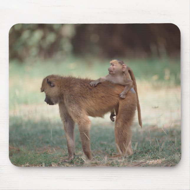Tapis De Souris Anubis Baboon (Devant)