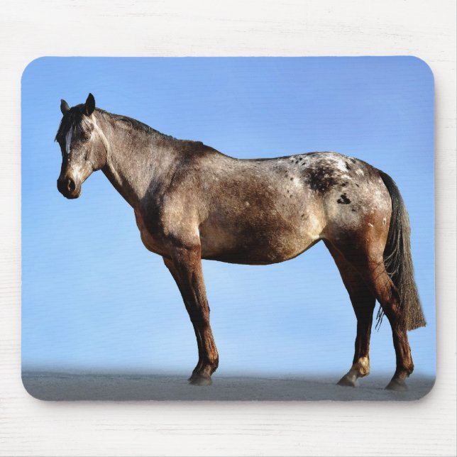 Tapis De Souris Appaloosa (Devant)