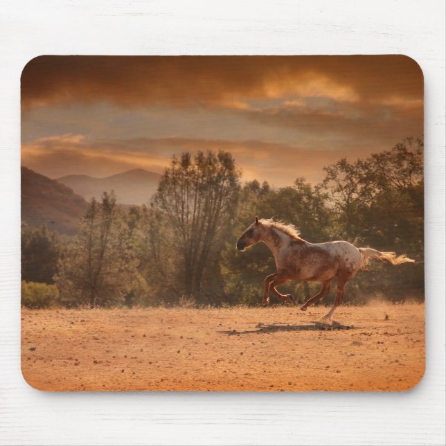 Tapis De Souris Appaloosa Horse Mousepad (Devant)