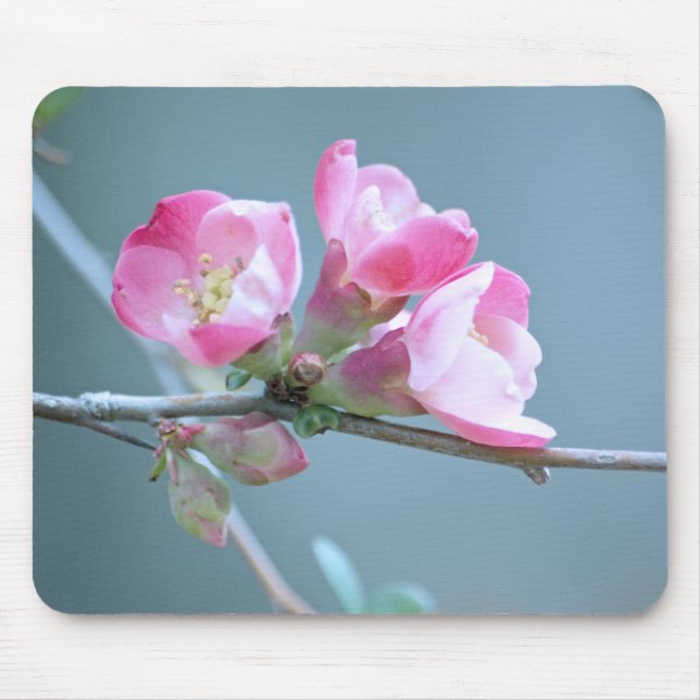 Tapis De Souris Apple Blossom #P0358 Mousepad (Devant)