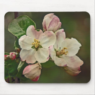 Tapis De Souris Apple Blossom Time