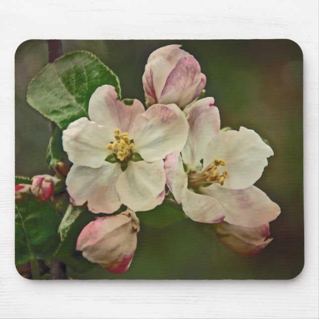 Tapis De Souris Apple Blossom Time (Devant)