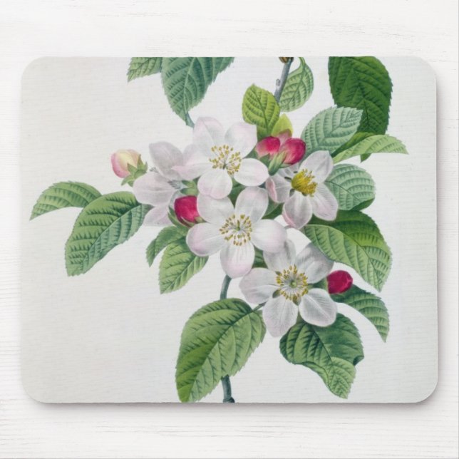 Tapis De Souris Apple fleurissent, du 'DES de Les Choix plus des (Devant)