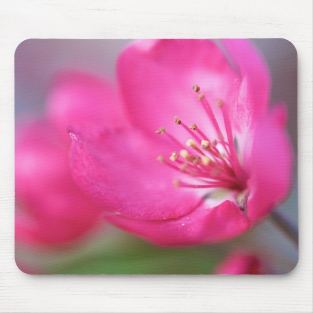 Tapis De Souris Apple fleurissent Mousepad (Devant)