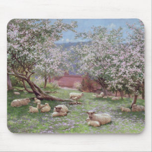 Tapis De Souris Appleblossom
