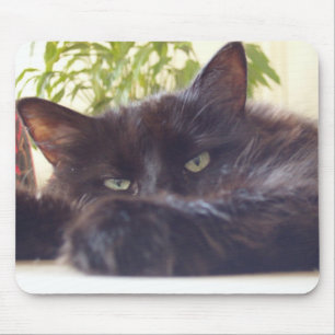 Tapis De Souris Apprécier votre souris