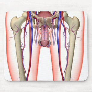 Tapis De Souris Approvisionnement en sang