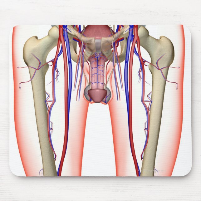 Tapis De Souris Approvisionnement en sang (Devant)