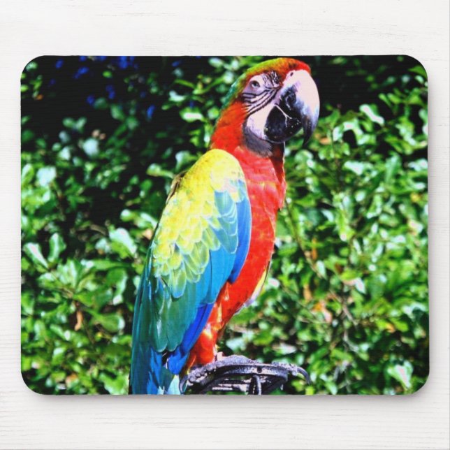Tapis De Souris Ara Mousepad (Devant)