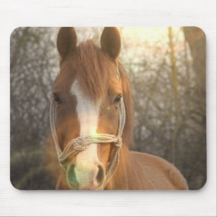 Tapis de souris arabe de cheval de châtaigne