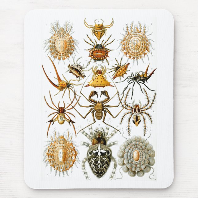 Tapis De Souris Arachnida (Araignées), Ernst Haeckel Art (Devant)